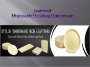 Wedding and Party Dinnerware