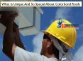 What Is Unique And So Special About Colorbond Roofs PowerPoint PPT Presentation