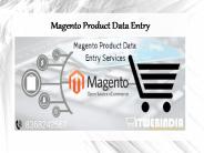 Magento Product Data Entry Services