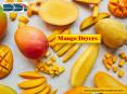 Mango Dryers PowerPoint PPT Presentation