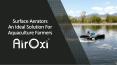 Why Are Surface Aerators An Ideal Solution For Aquaculture Farmers? PowerPoint PPT Presentation