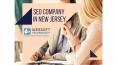 SEO Company in New Jersey PowerPoint PPT Presentation