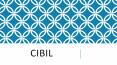CIBIL Score Online PowerPoint PPT Presentation