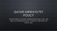 Qatar Airways Pet Policy PowerPoint PPT Presentation