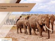 Cultural Vibes: Splendid Adventure Tour Packages