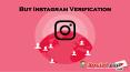 Get Instagram Verification for Making your Web Presence more Prominent PowerPoint PPT Presentation