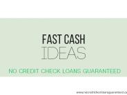 No Credit Check Loans Guaranteed Online Payday Advance