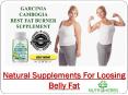 Nutriherbs Garcinia Cambogia Extracts For Obesity Problem PowerPoint PPT Presentation