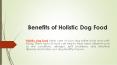 Benefits of Holistic Dog Food PowerPoint PPT Presentation