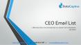 Where to get CEO email list that can generate leads to your b2b business PowerPoint PPT Presentation
