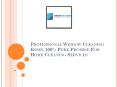 Professional Window Cleaning Essex 100% Pure Promise For Home Cleaning Services PowerPoint PPT Presentation