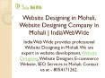 Website Designing in Mohali, Website Designing Company in  Mohali | IndiaWebWide PowerPoint PPT Presentation