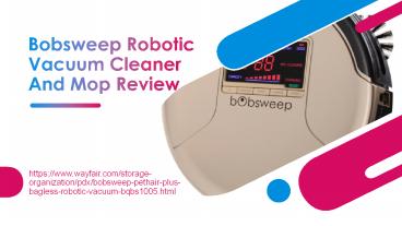 Bobsweep pethair plus reviews