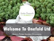 Onefold Ltd Presentation 