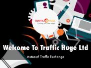 Detail Presentation About Traffic Huge