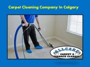 Choosing The Right Carpet Cleaning Company In Calgary