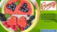 Best Milk Alternatives in Australia (1)