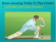 Arif Patel Preston, Arif Umarji Patel – Learn Technical Steps to Play Cricket Easily PowerPoint PPT Presentation