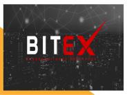 Bitex: Cryptocurrency Solutions