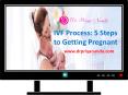 IVF Process: 5 Steps to Getting Pregnant (1) PowerPoint PPT Presentation