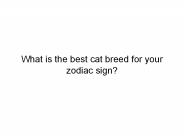 Cat Breeds Zodiac Sign Compatibility