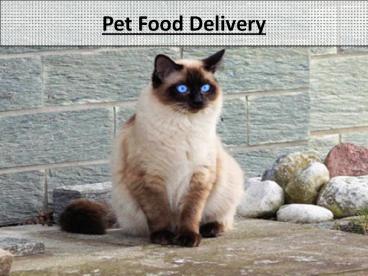 Pet Food Delivery