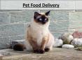 Pet Food Delivery PowerPoint PPT Presentation