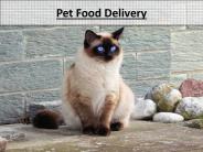 Pet Food Delivery