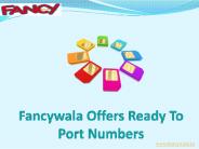 Ready To Port Fancy Numbers