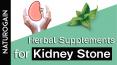 Herbal Supplements for Kidney Stone Removal and Kidney Support Foods