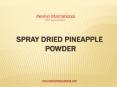 Spray dried pineapple powder Supplier in india PowerPoint PPT Presentation