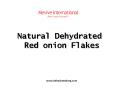 Dehydrated Red onion flakes supplier in india PowerPoint PPT Presentation