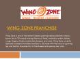 Wings Tenders Burgers Restaurant Franchise Opportunity PowerPoint PPT Presentation