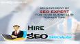 Hire SEO Specialist PowerPoint PPT Presentation
