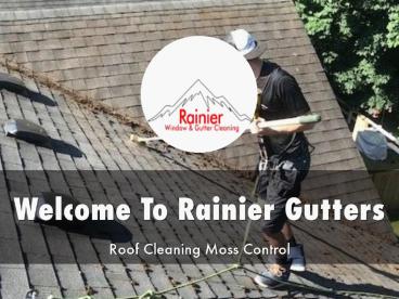 Detail Presentation About Rainier Gutters