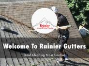 Detail Presentation About Rainier Gutters