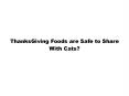 Thanksgiving Food For Cats PowerPoint PPT Presentation