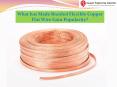 What has made braided copper flat wire gain popularity? PowerPoint PPT Presentation