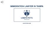 Immigration Lawyer Tampa - Lizbeth Potts