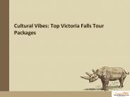 Cultural Vibes: Top Victoria Falls Tour Packages