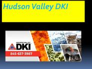 Hudson Valley DKI