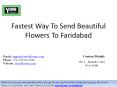 Fastest Way To Send Beautiful Flowers To Faridabad PowerPoint PPT Presentation