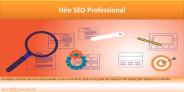 Hire SEO Professional