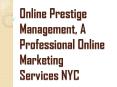 Importance of Professional Online Marketing Services NYC PowerPoint PPT Presentation