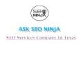 SEO Service Company in Texas- ASK SEO NINJA PowerPoint PPT Presentation
