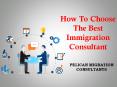 How to choose the best immigration Consultant  - Pelican Migration Consultants PowerPoint PPT Presentation