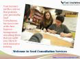 Business Management Consulting Firms – Seed Consultation PowerPoint PPT Presentation