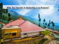 The Reason behind the Immense Popularity of Tea Tourism in Darjeeling PowerPoint PPT Presentation