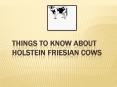 Things to know about Holstein Friesian Cows PowerPoint PPT Presentation