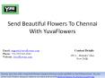 Send Beautiful Flowers To Chennai With YuvaFlowers PowerPoint PPT Presentation